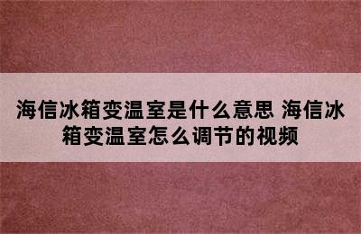 海信冰箱变温室是什么意思 海信冰箱变温室怎么调节的视频